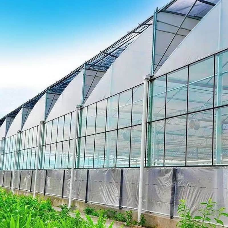 Glass greenhouse/sunlight board greenhouse /vein network greenhouse