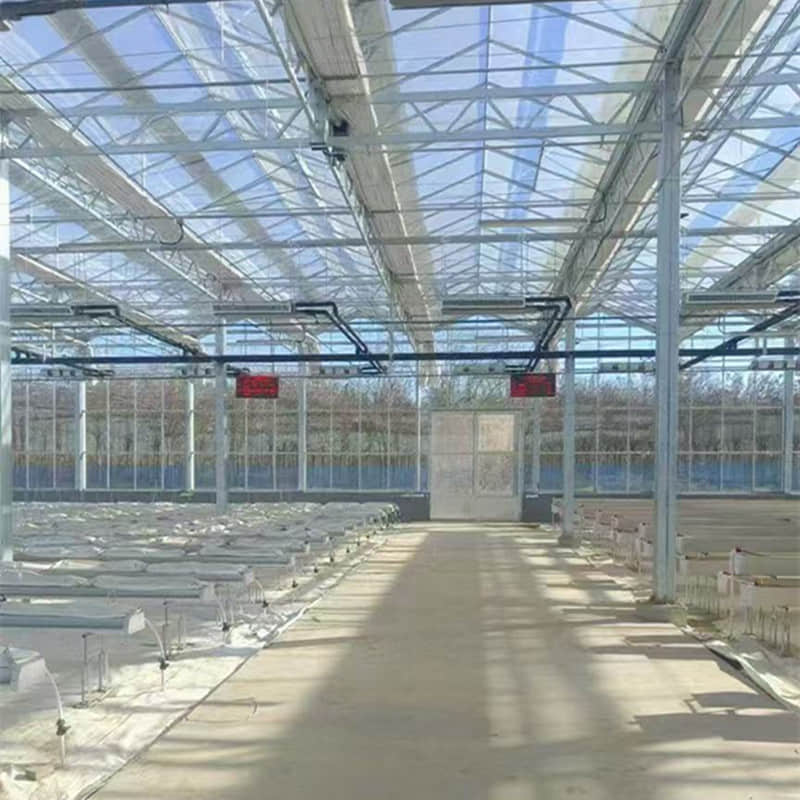 Glass greenhouse/sunlight board greenhouse /vein network greenhouse