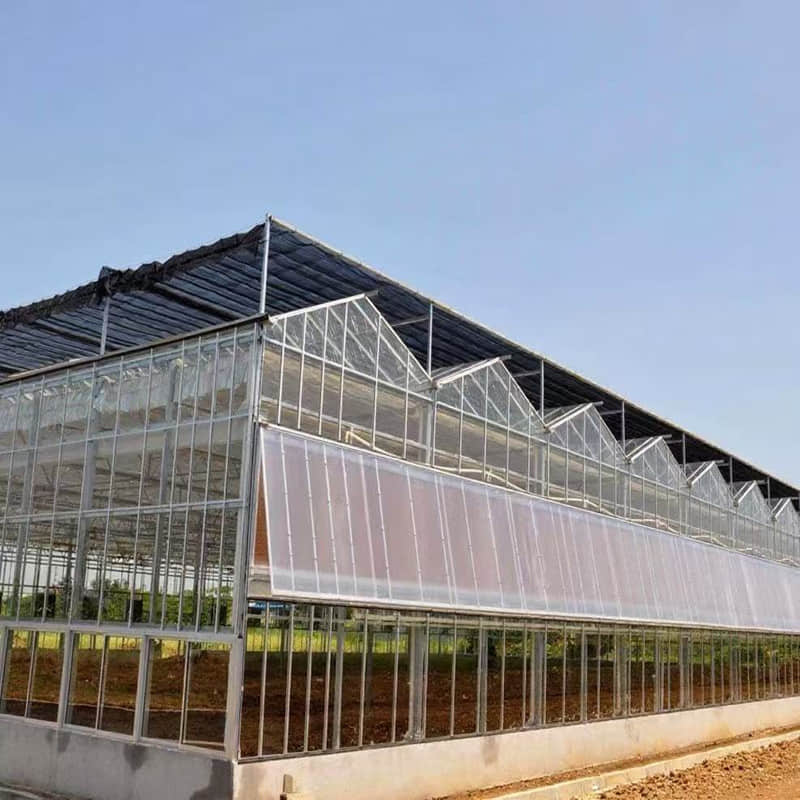 Glass greenhouse/sunlight board greenhouse /vein network greenhouse