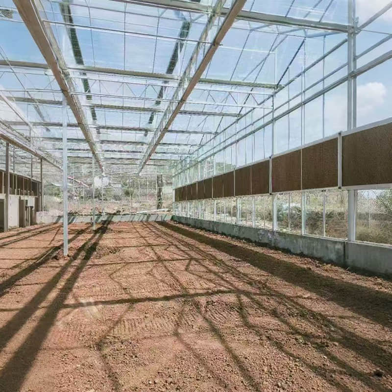 Glass greenhouse/sunlight board greenhouse /vein network greenhouse