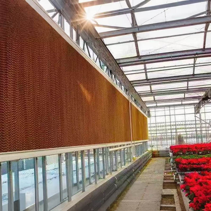 Glass greenhouse/sunlight board greenhouse /vein network greenhouse