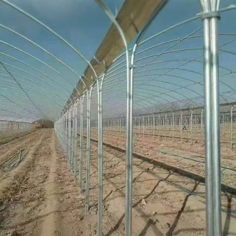 Connected greenhouse / Multi-span greenhouse / Greenhouse framework
