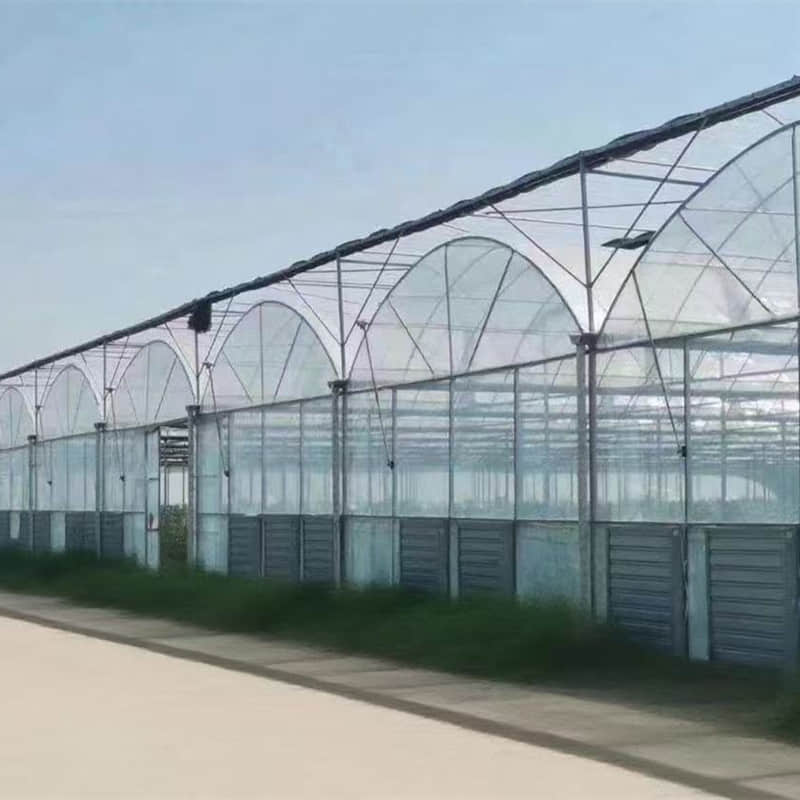 Connected greenhouse / Multi-span greenhouse / Greenhouse framework