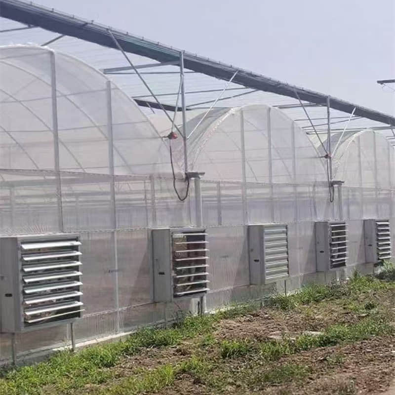 Connected greenhouse / Multi-span greenhouse / Greenhouse framework