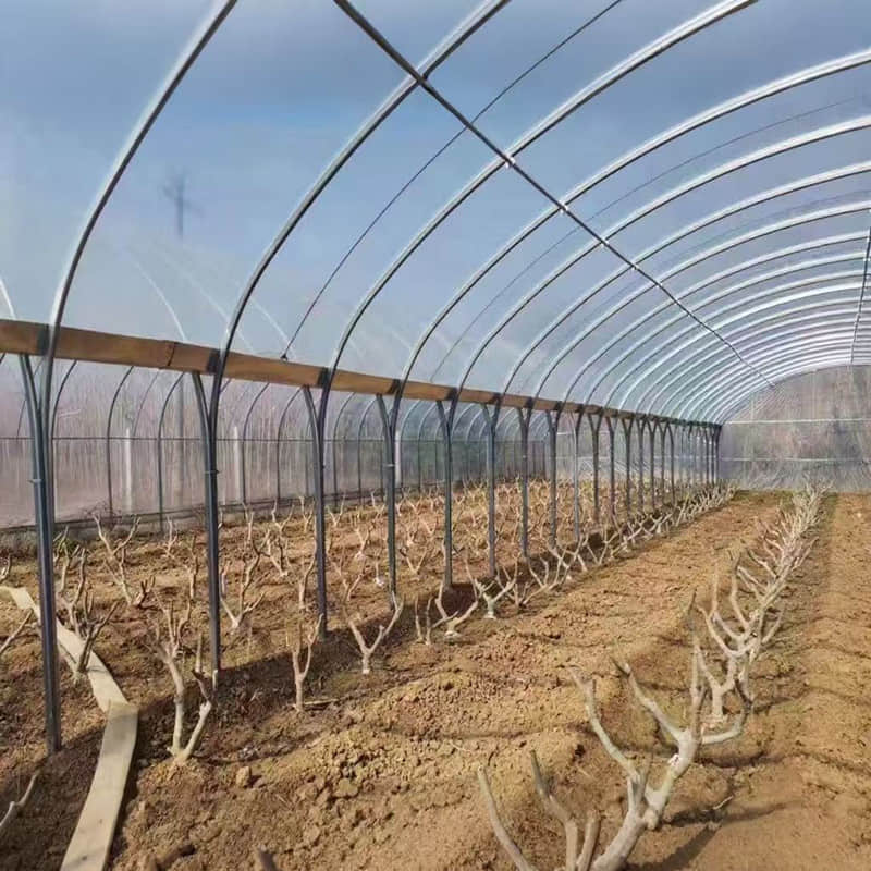 Connected greenhouse / Multi-span greenhouse / Greenhouse framework