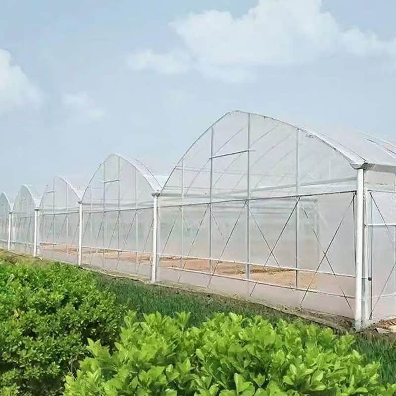 Connected greenhouse / Multi-span greenhouse / Greenhouse framework