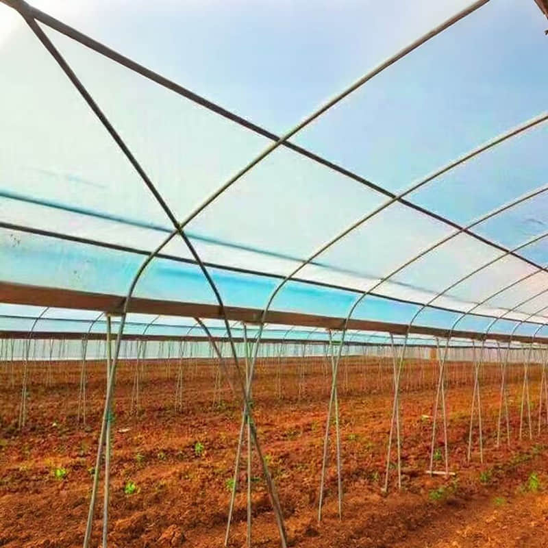 Connected greenhouse / Multi-span greenhouse / Greenhouse framework