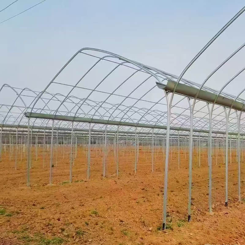 Connected greenhouse / Multi-span greenhouse / Greenhouse framework