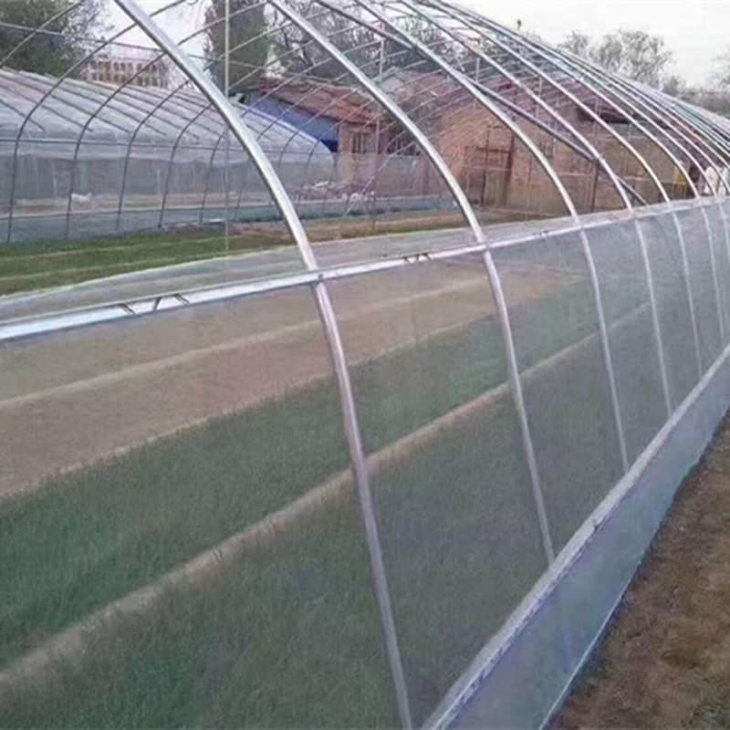 simple vegetable greenhouse