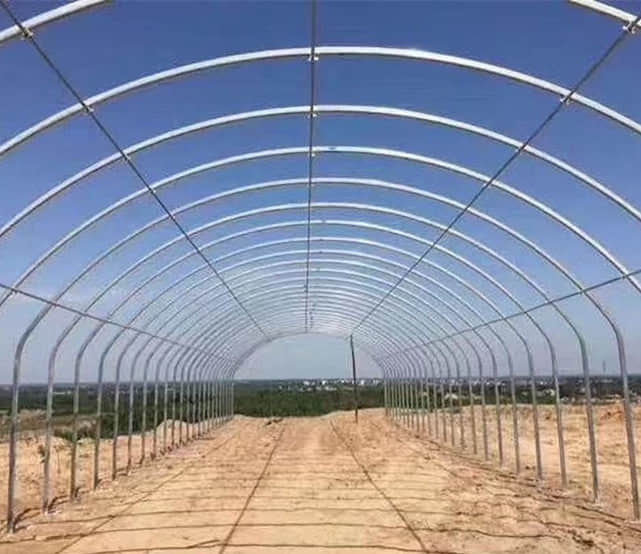  simple vegetable greenhouse