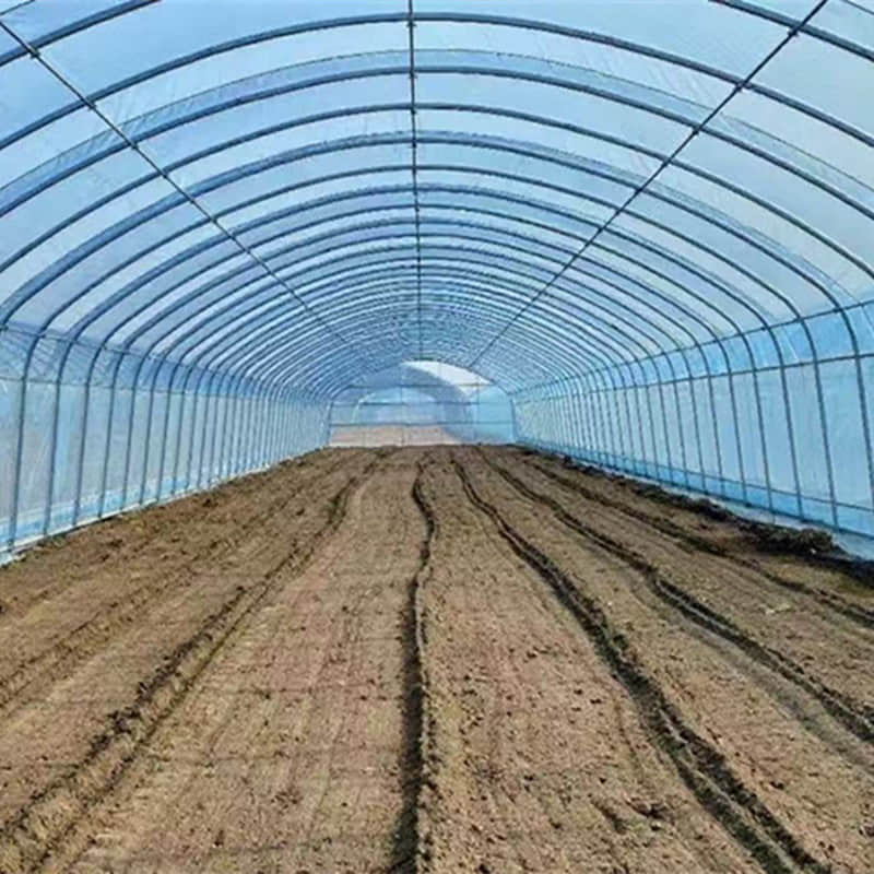  simple vegetable greenhouse