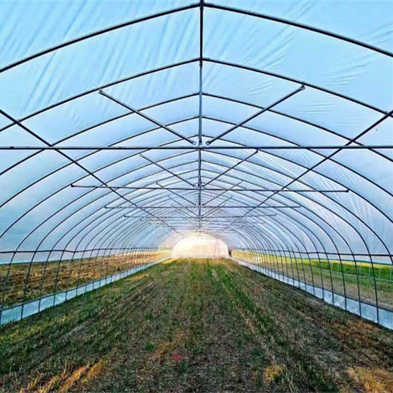  simple vegetable greenhouse