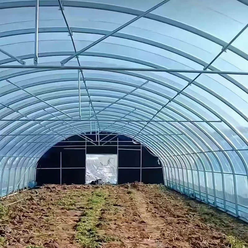  simple vegetable greenhouse