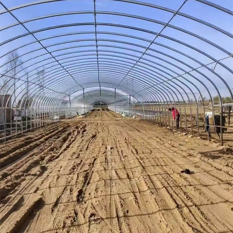  simple vegetable greenhouse