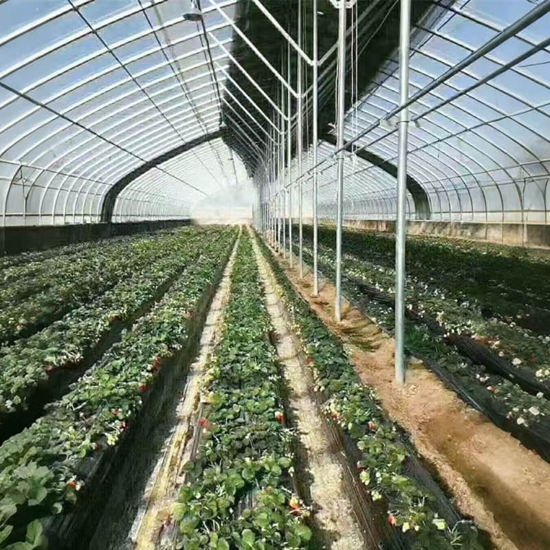  simple vegetable greenhouse