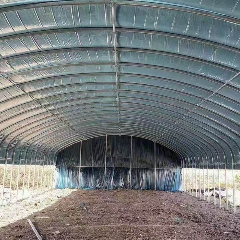 simple vegetable greenhouse