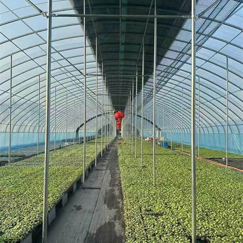 simple vegetable greenhouse