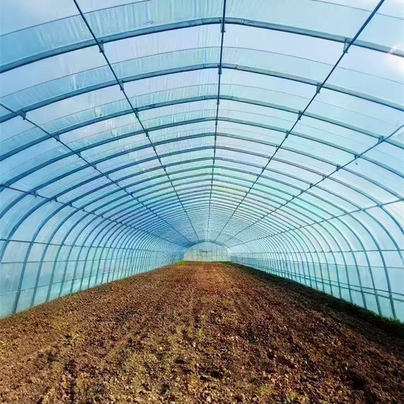  simple vegetable greenhouse