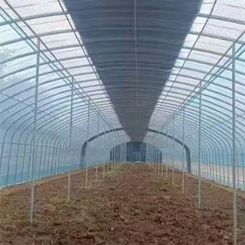  simple vegetable greenhouse