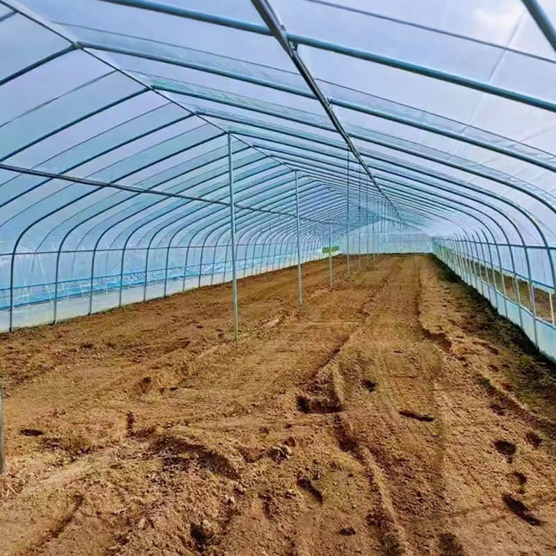  simple vegetable greenhouse