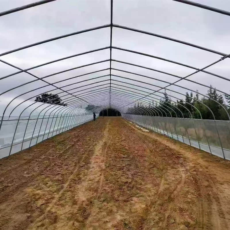  simple vegetable greenhouse