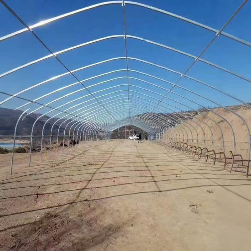  simple vegetable greenhouse