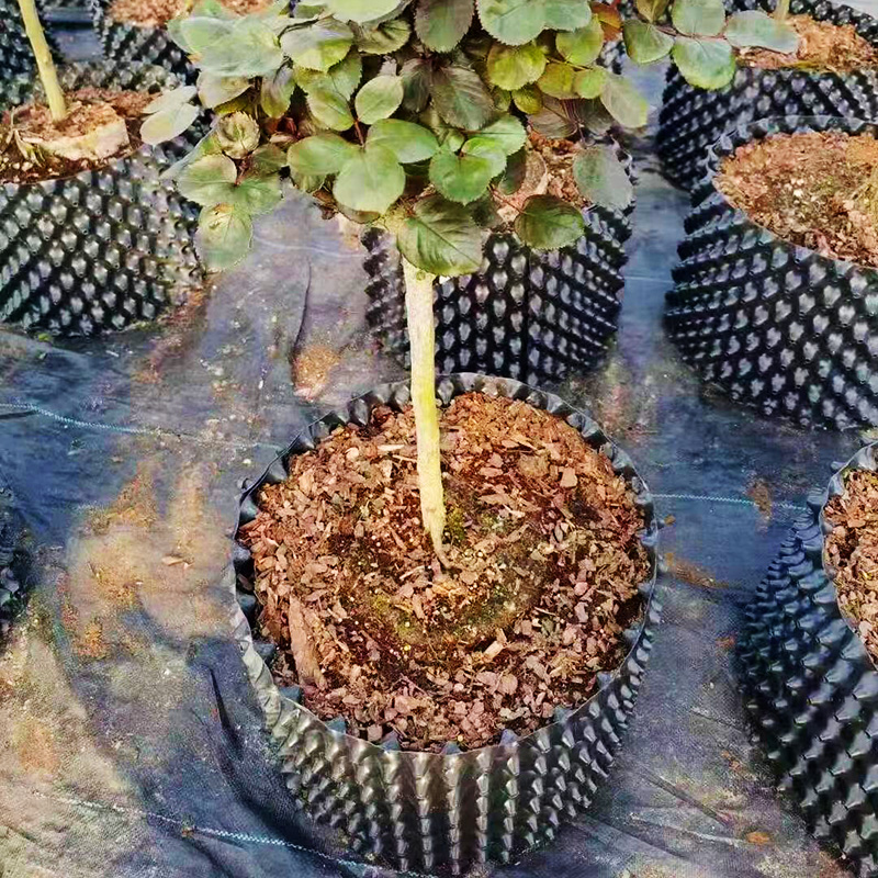 Special high-cultural fence flower pot for tree planting for root control device to increase the enc