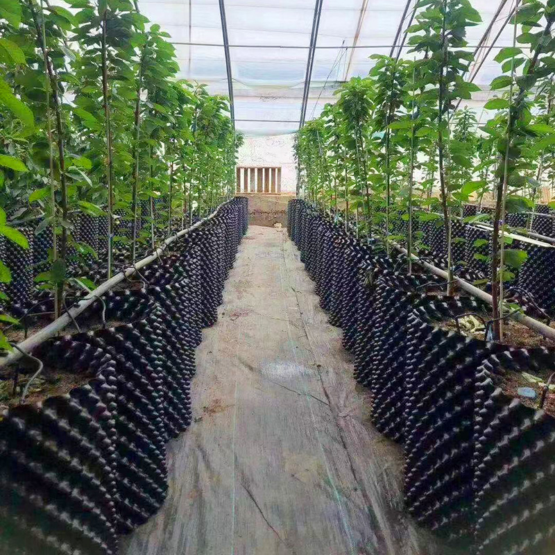 Special high-cultural fence flower pot for tree planting for root control device to increase the enc