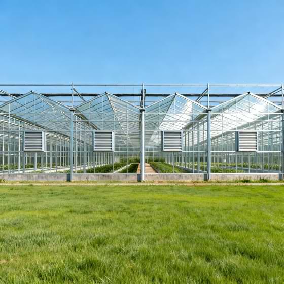Multi-span Greenhouses