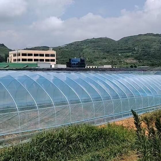 Freestanding Greenhouse