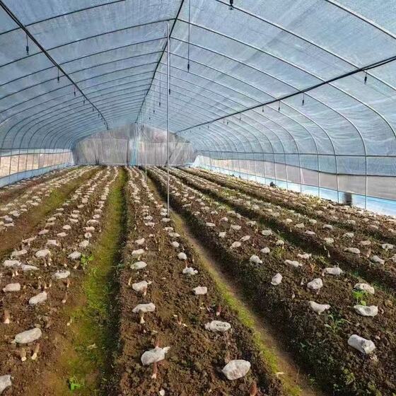 Freestanding Greenhouse