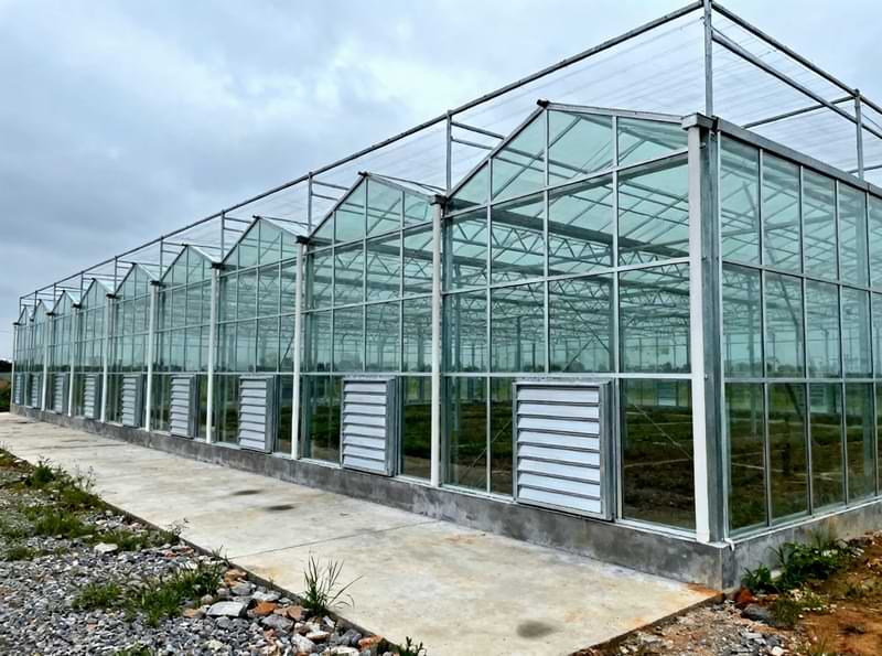 Vegetable & Fruit Greenhouse