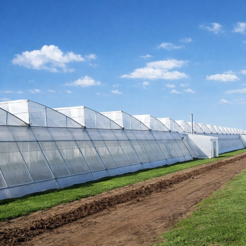 Sawtooth Greenhouse