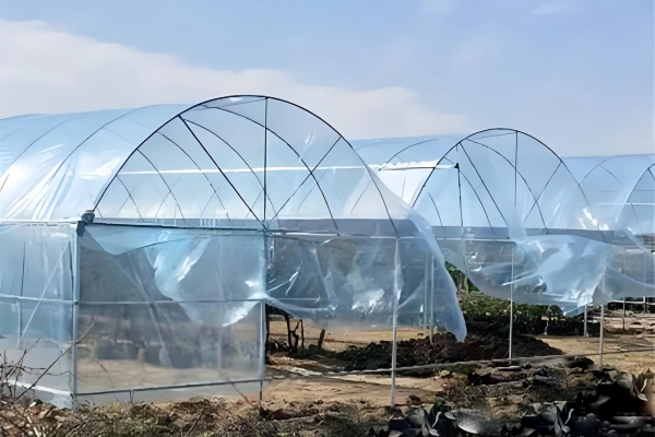 jenis-rumah-hijau-filem-plastik jenis-rumah-hijau-filem-plastik