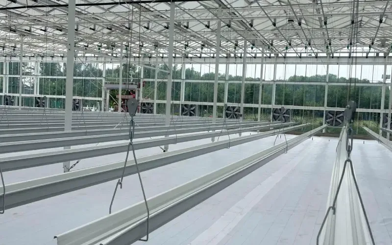 Strawberry Glass Greenhouse
