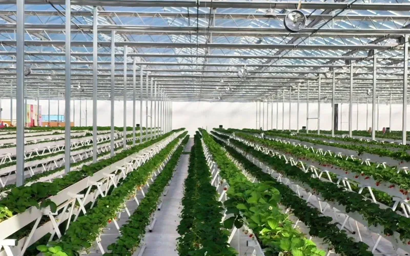 Strawberry Glass Greenhouse