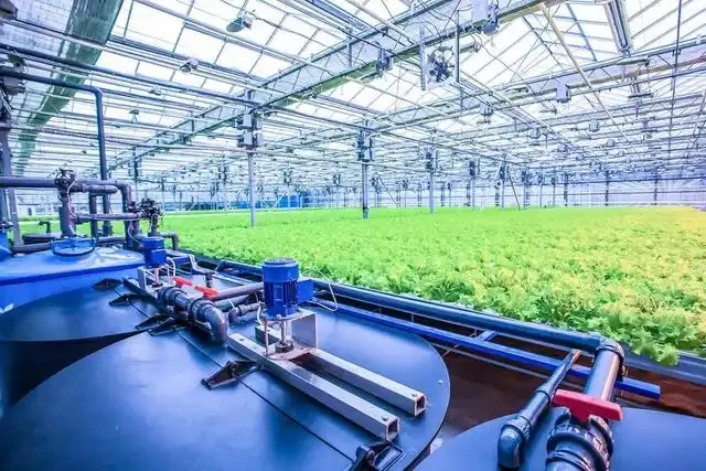 hydroponic-greenhouse-system-diagram.webp